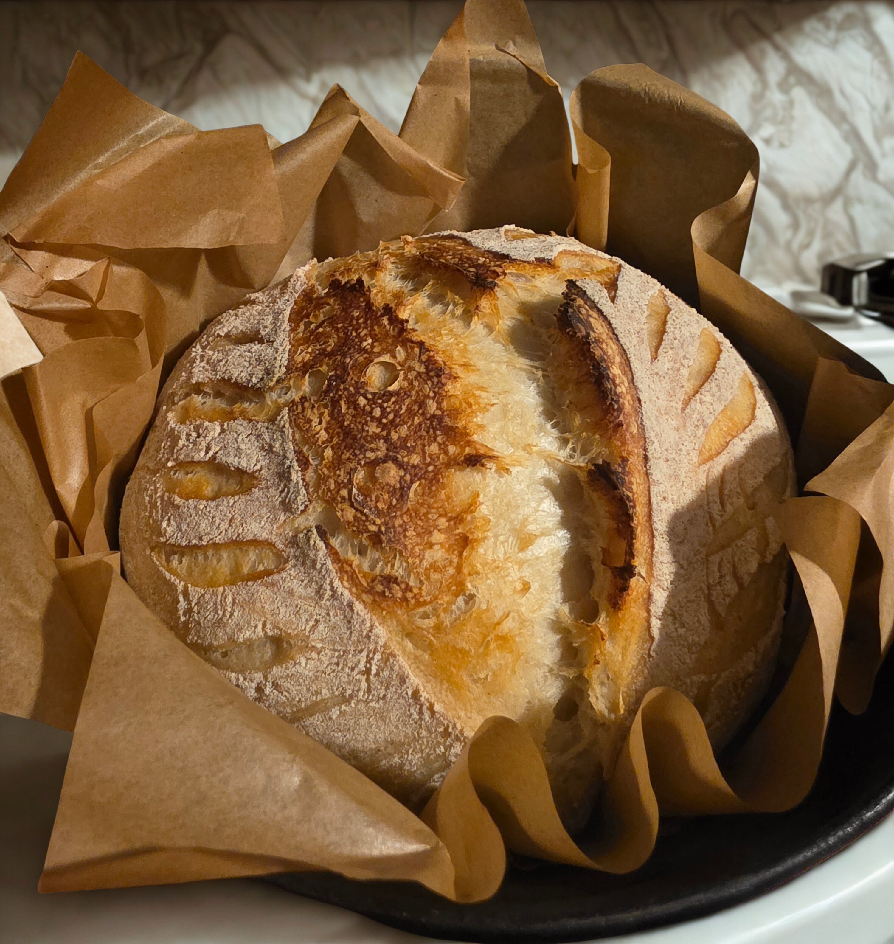 Classic sourdough boule